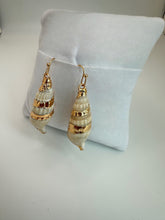 Load image into Gallery viewer, Sea Shell Earrings
