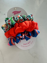 Load image into Gallery viewer, Florida Scrunchie Set
